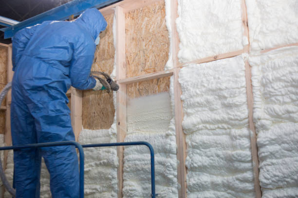 Best Attic Insulation Installation in Interlachen, FL